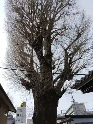 圓竜寺(岐阜県)