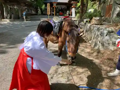 新倉富士浅間神社の動物