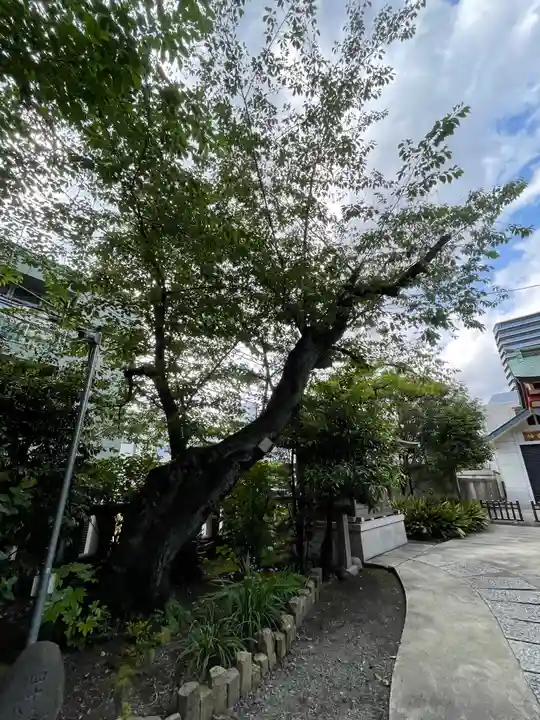 青山熊野神社(東京都)