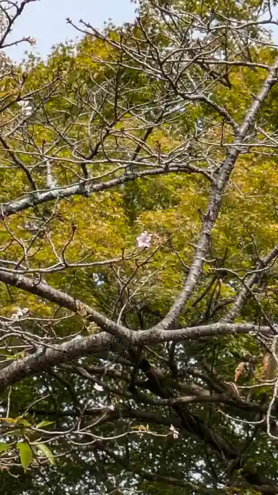 真正極楽寺(真如堂)(京都府)