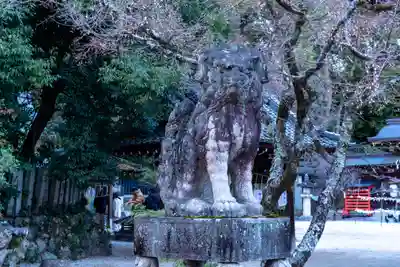 今宮神社の狛犬