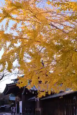 三嶋大社(静岡県)