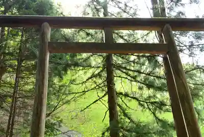 武蔵御嶽神社の鳥居