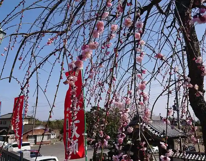 寺岡山元三大師の自然