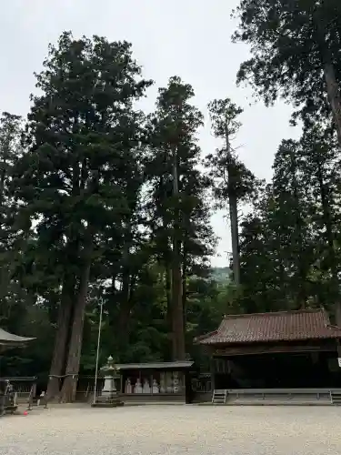 伊和神社の{uncategorized: "未分類", other: "その他", undefined: "問題あり", building: "その他建物", grave: "お墓", sacred_gate: "鳥居", guardian: "狛犬", statue: "像", buddha: "仏像", history: "歴史", nature: "自然", garden: "庭園", animal: "動物", pagoda: "塔", temizu: "手水舎", mountain_gate: "山門・神門", sanctuary: "本殿・本堂", subordinate: "末社・摂社", art: "芸術", scenery: "景色", jizo: "地蔵", ema: "絵馬", goshuin: "御朱印", omikuji: "おみくじ", items: "授与品その他", amulet: "お守り", goshuincho: "御朱印帳", eats: "食事", festival: "お祭り", votive_dance: "神楽", shichigosan: "七五三参", wedding: "結婚式", experience: "体験その他", initially: "初詣", around: "周辺", anti_infection: "感染症対策"}