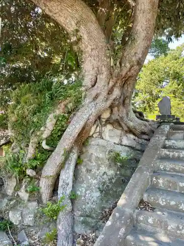 八雲神社（北鎌倉・山ノ内）(神奈川県)