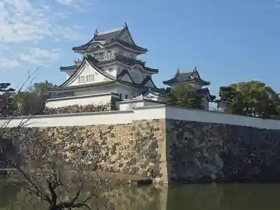 黒長龍王(大阪府)