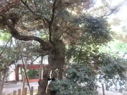 金王八幡宮(東京都)