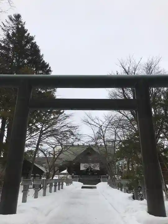信濃神社の鳥居