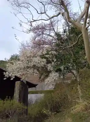 大善寺(山梨県)