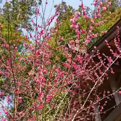 國魂神社の自然