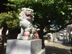 代田神社の狛犬