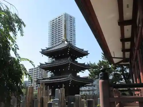 本光寺のその他建物