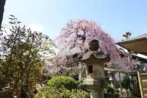 善龍寺(東京都)(2026年03月28日(土) 18時23分41秒投稿)
