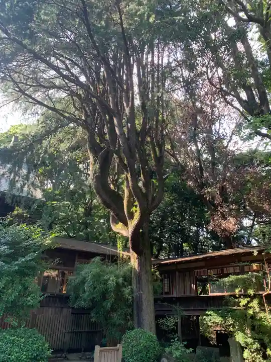 報徳二宮神社の自然
