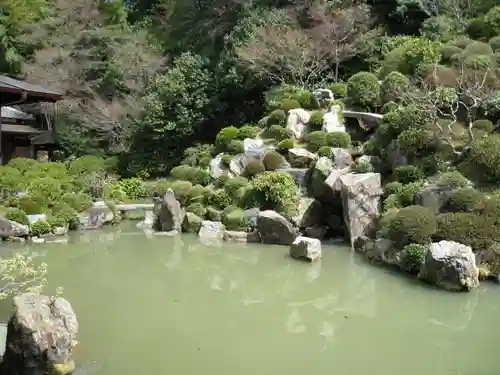 根来寺 智積院の庭園