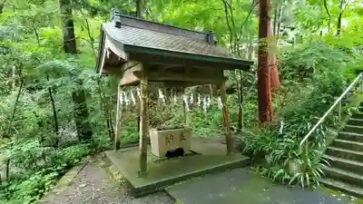 雨櫻神社の手水舎