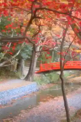 小國神社(静岡県)