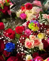 札幌諏訪神社の手水舎