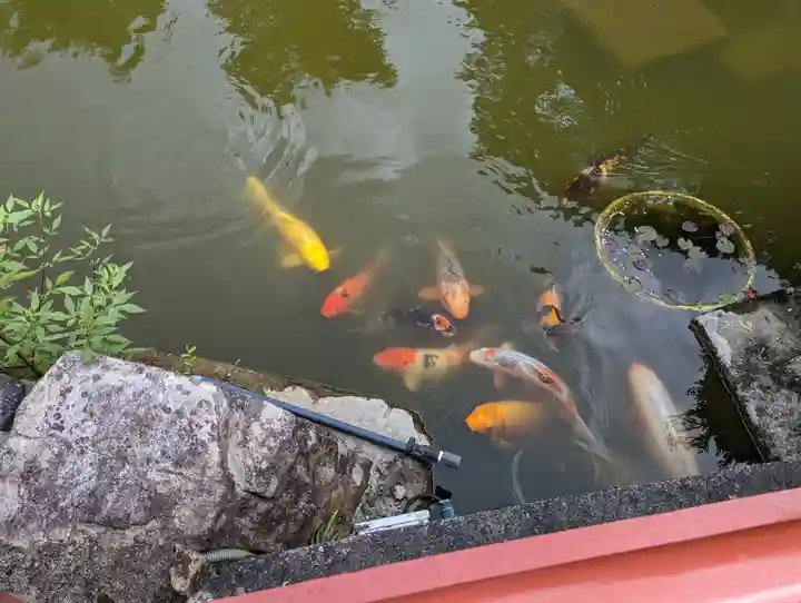 妙満寺(京都府)
