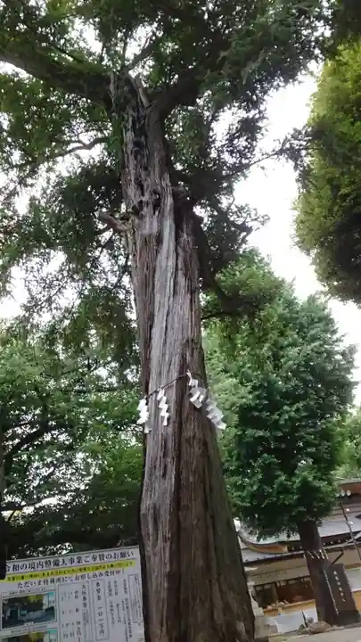 居木神社(東京都)