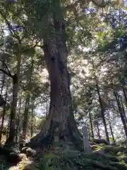 天満神社(愛媛県)