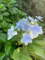 大生郷天満宮の自然