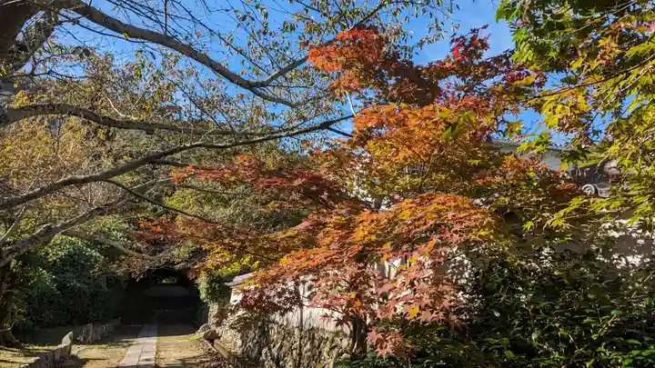 宝菩提院願徳寺(京都府)