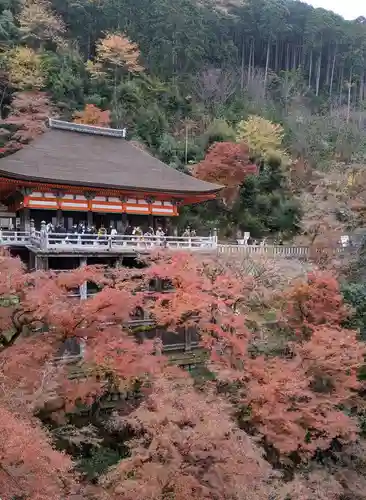 清水寺(京都府)