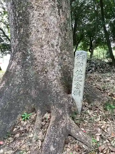 熊野神社（熊野町）のその他建物