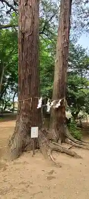 東蕗田天満社(茨城県)