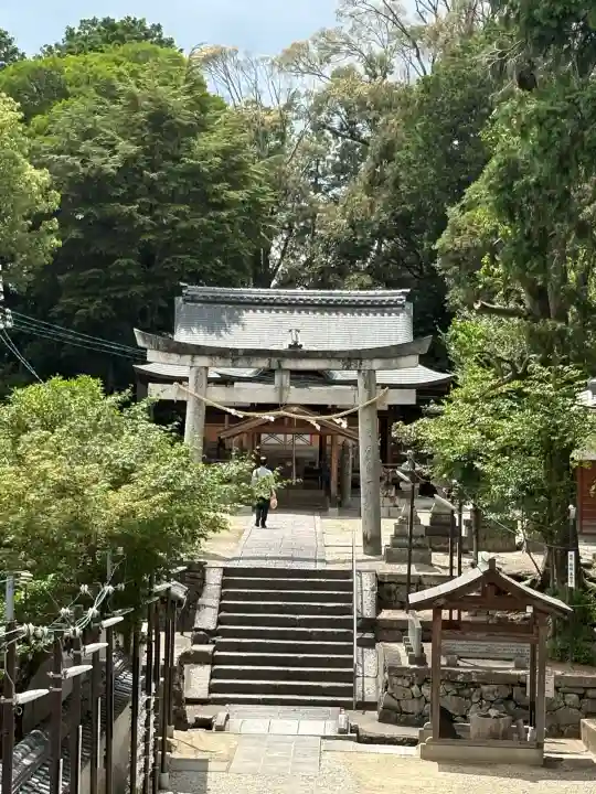 棚倉孫神社(京都府)