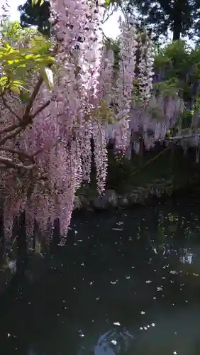 歌泉堂（春日大社神苑萬葉植物園内鎮座）(奈良県)