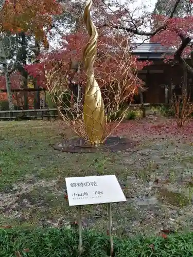 薬王寺の芸術