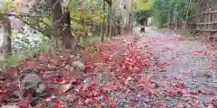 鍬山神社の建物その他