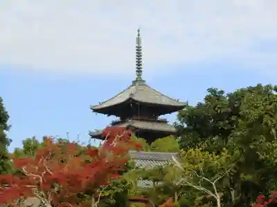 仁和寺の塔