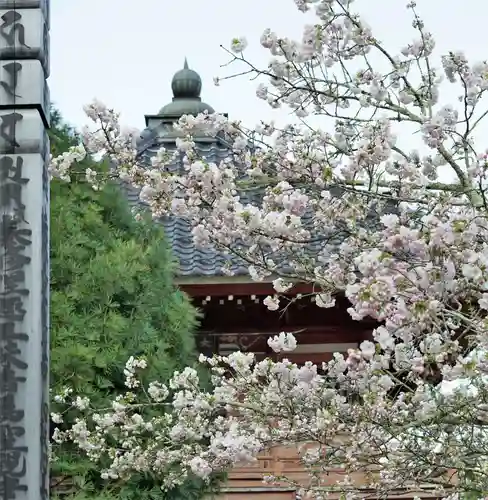 赤堂観音の自然