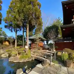 善導寺の庭園