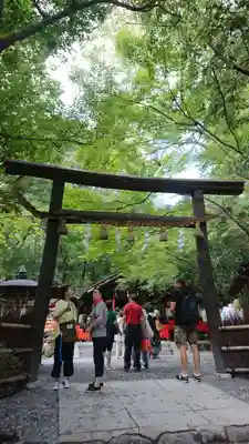 野宮神社の鳥居