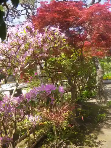 教恩寺の庭園