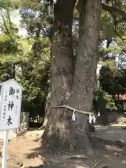 玉村八幡宮の庭園