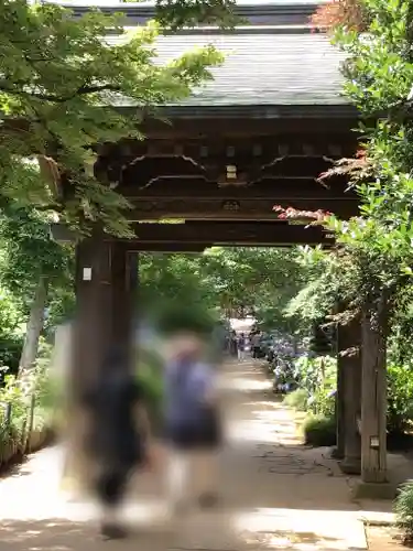 本土寺の山門