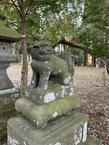 坂本神社の狛犬