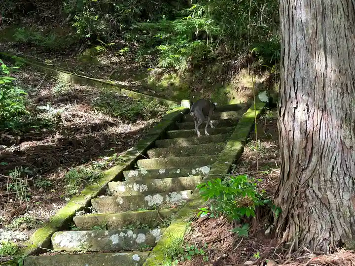 黒駒神社(福井県)