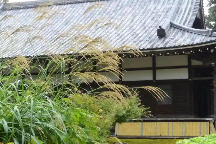 円覚寺(神奈川県)