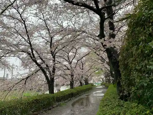 大長寺(埼玉県)