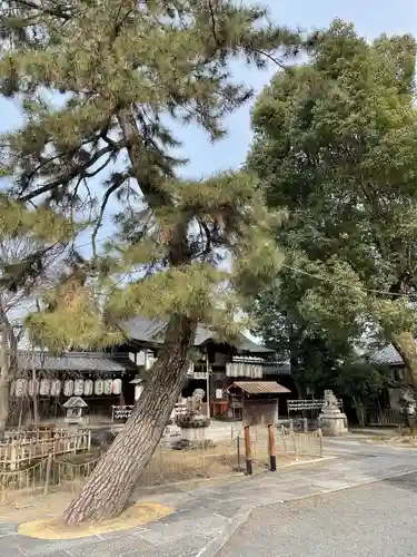 縣神社の自然