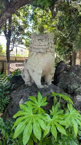 柏諏訪神社の狛犬