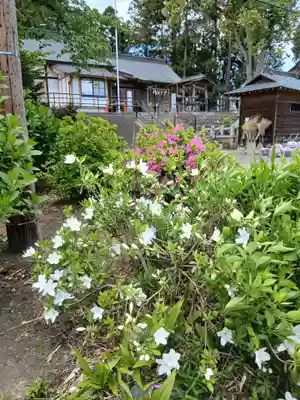 多賀神社(宮城県)