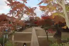 本土寺の建物その他